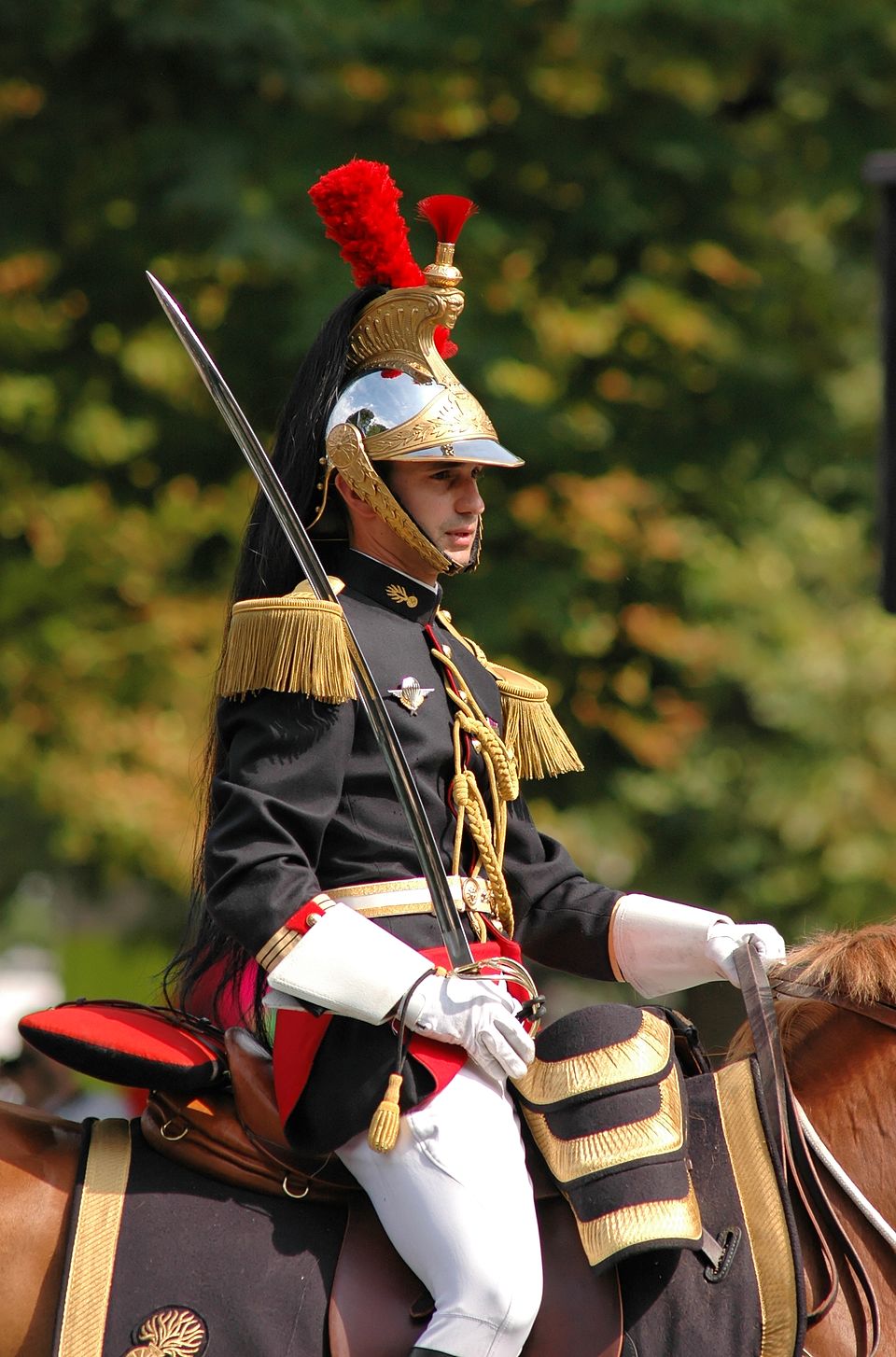 Epaulette