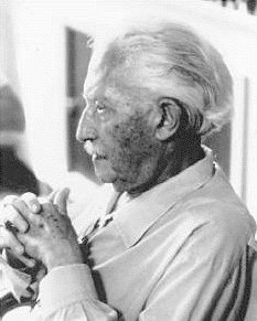 Erik Erikson