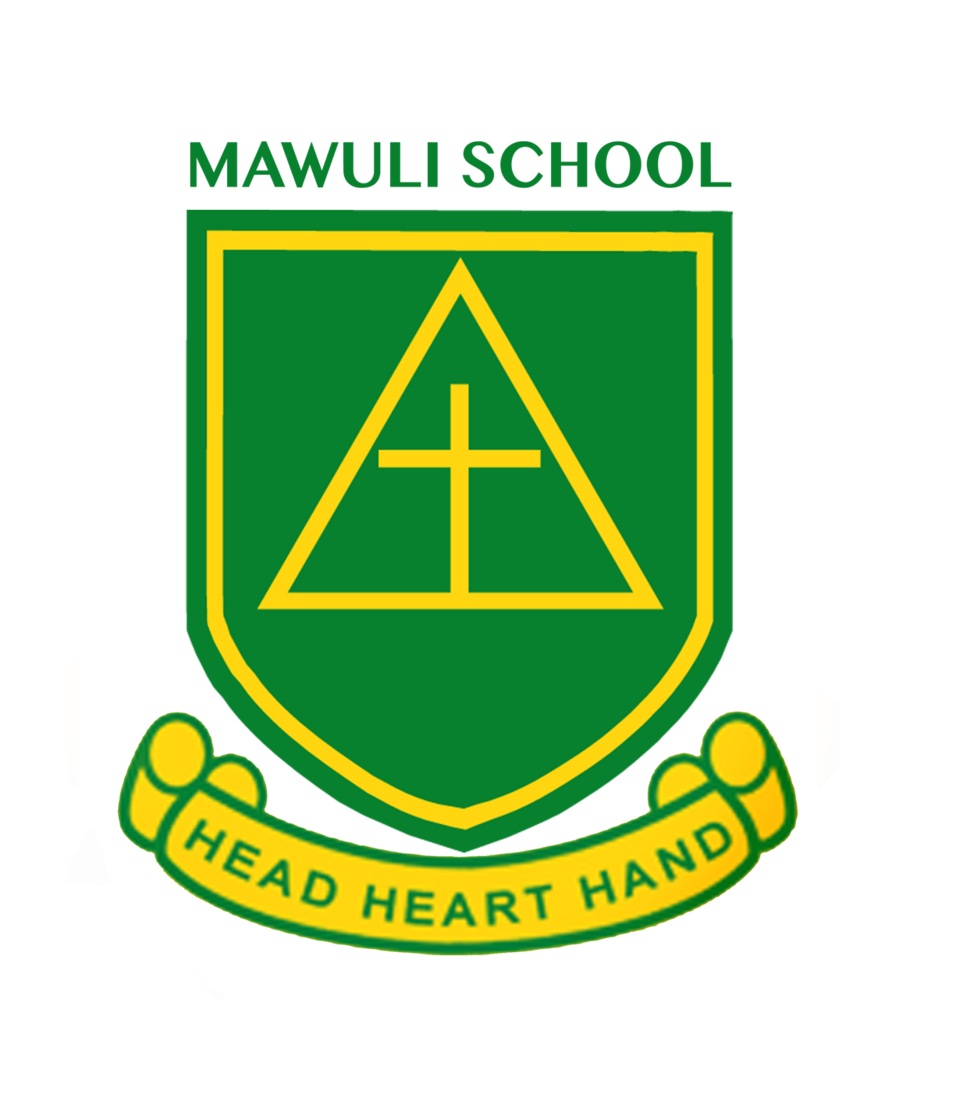 Ernest Mawuli Agbesi