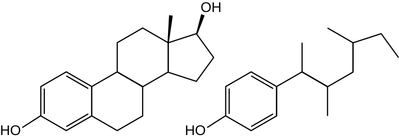 Ether Porras