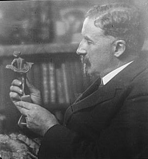 Eugenie Addison