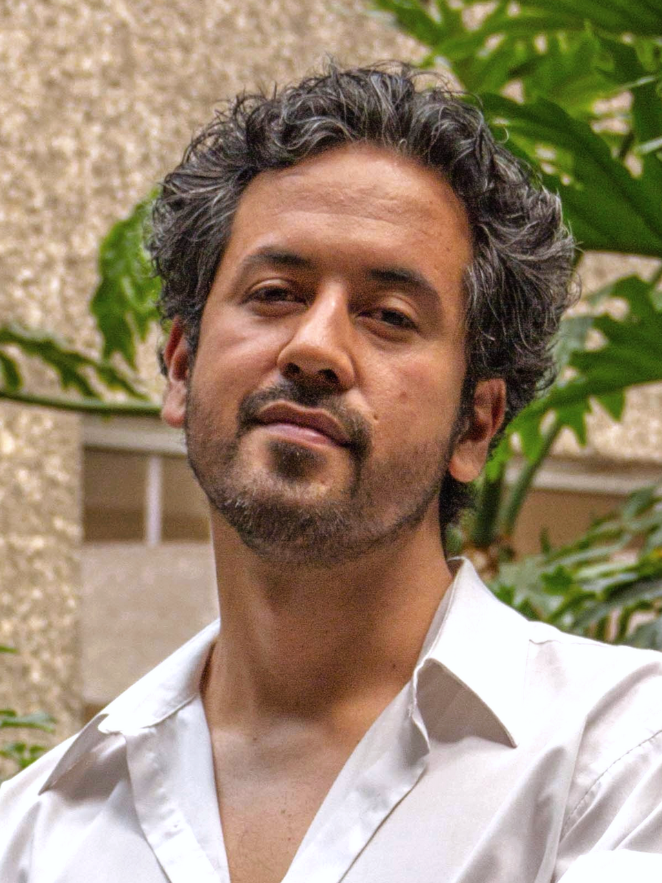 Fabián Asis