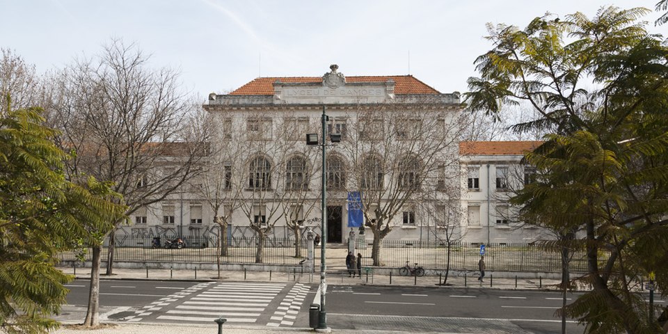 Fátima Palhinha