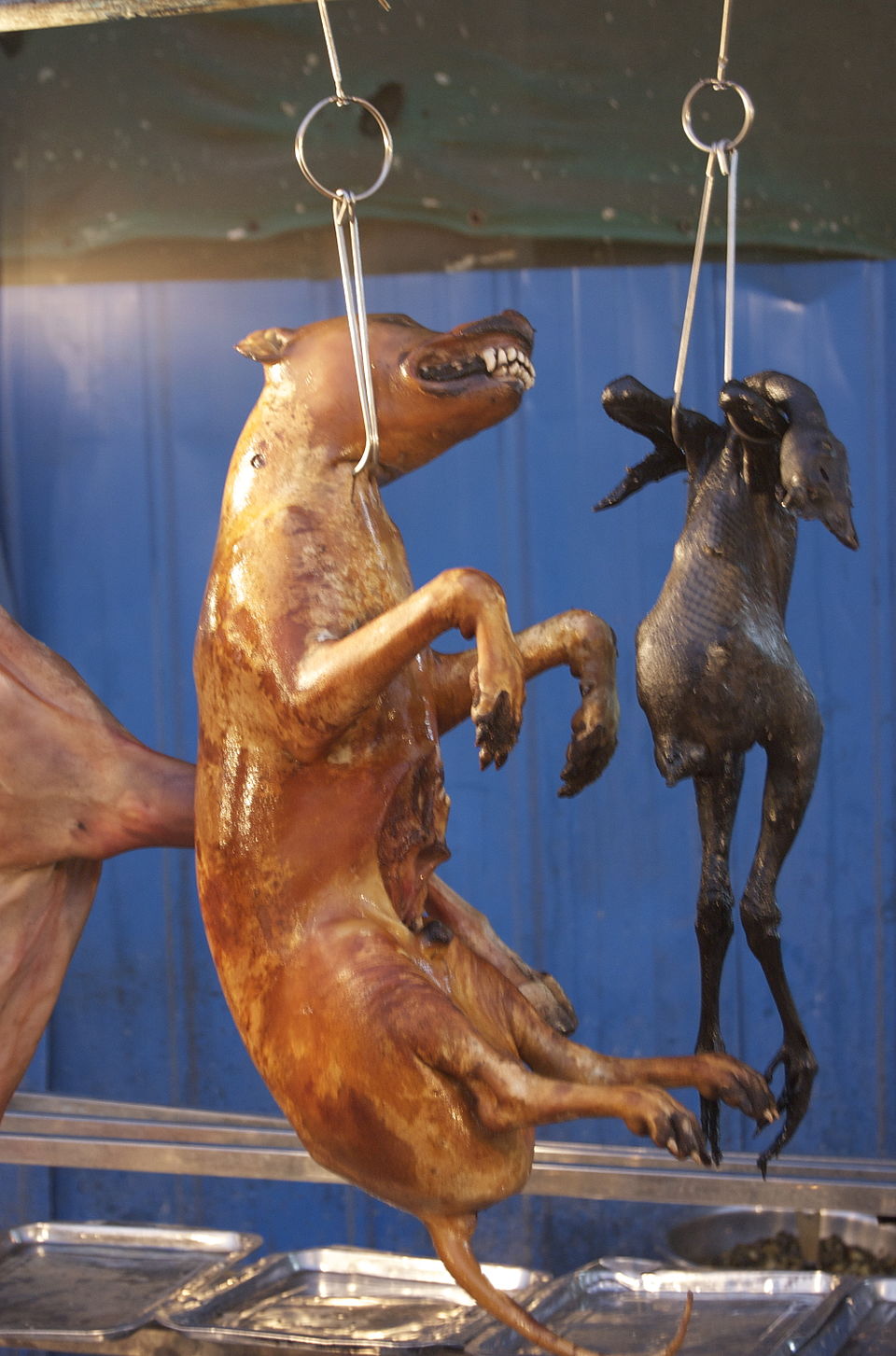 Feng Yulin