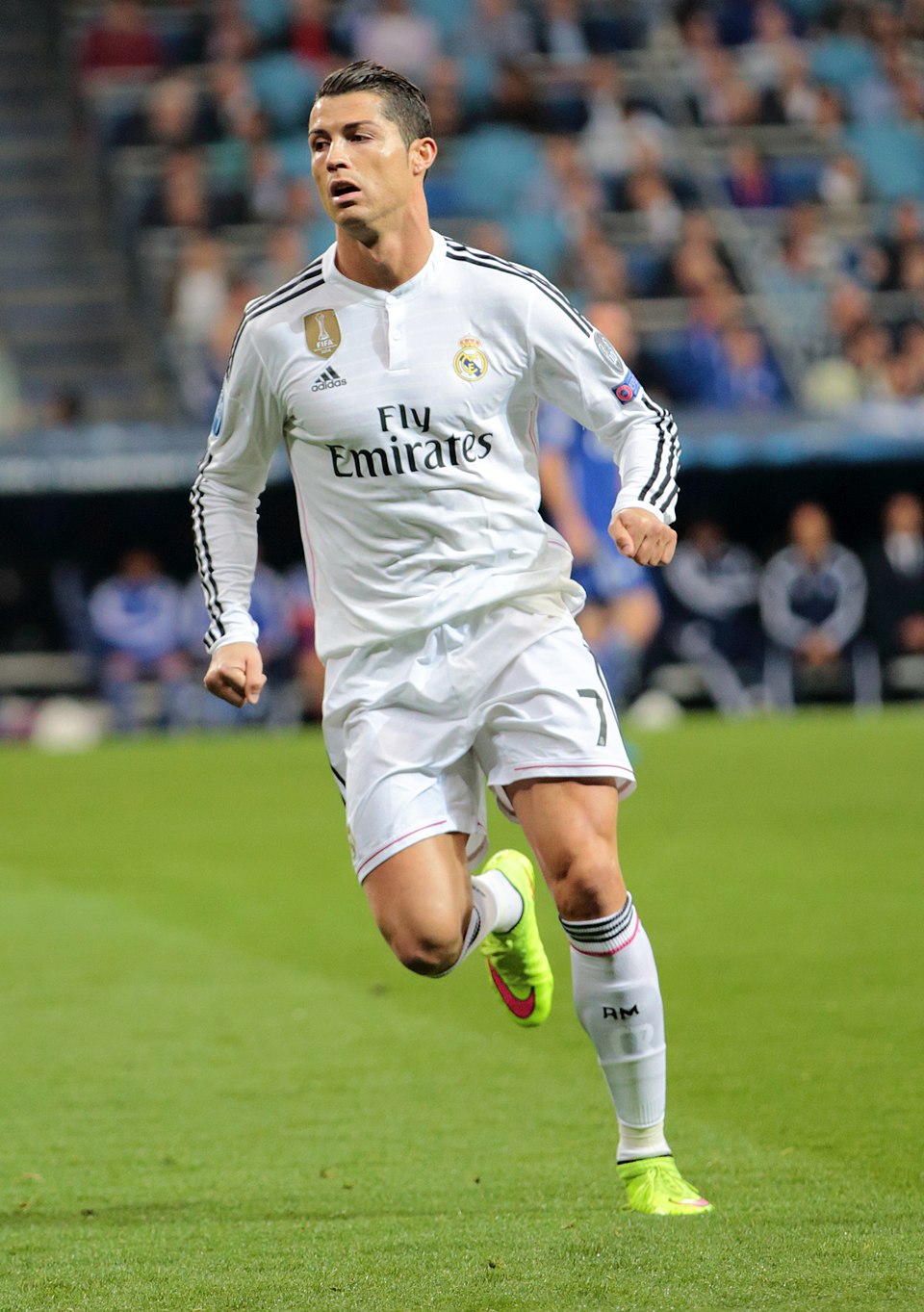 Fernando Sánchez de la Madrid