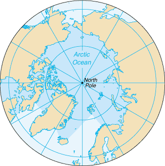Flavia Polar