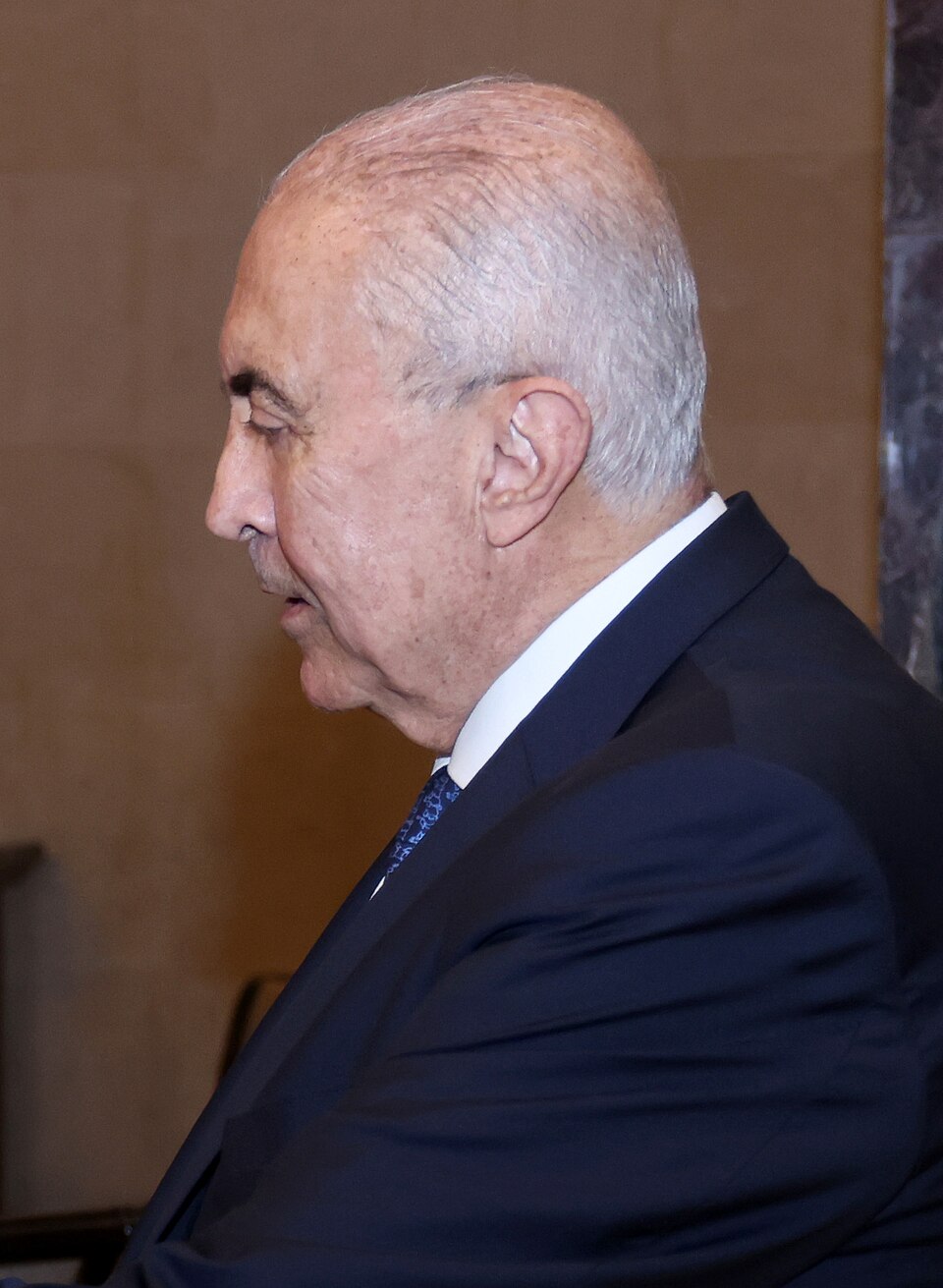 Fouad Makhzoumi
