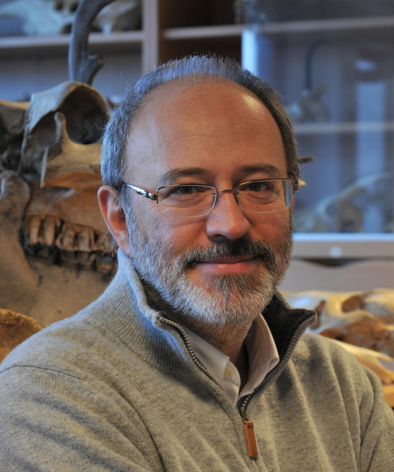 Francesco d’Errico