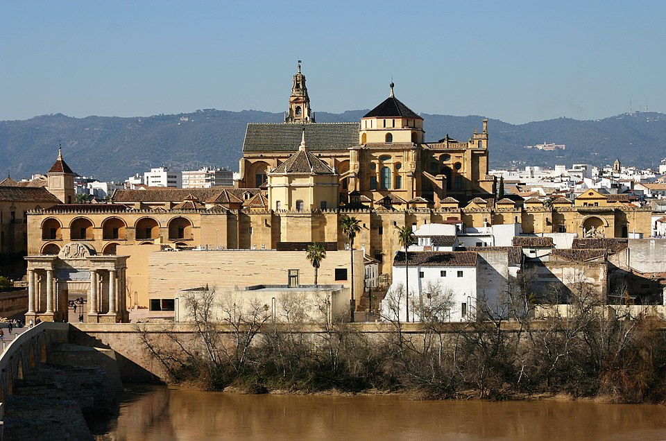 Francisco Gonzalo Tapia Gutiérrez