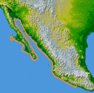 Francisco Ulloa