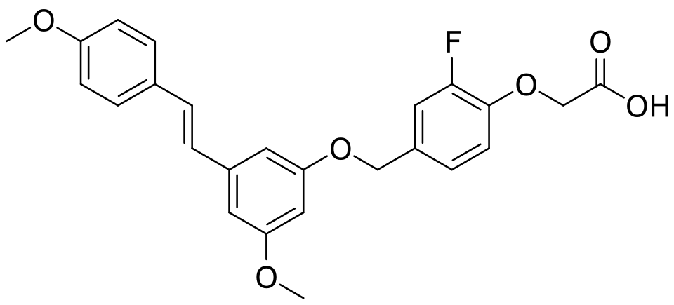 Frank Qiang Geng