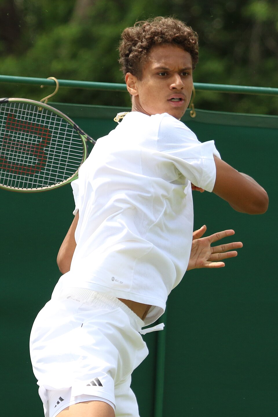 Gabriel Leș