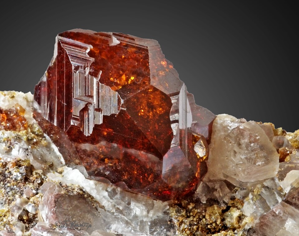 Garnet Orange