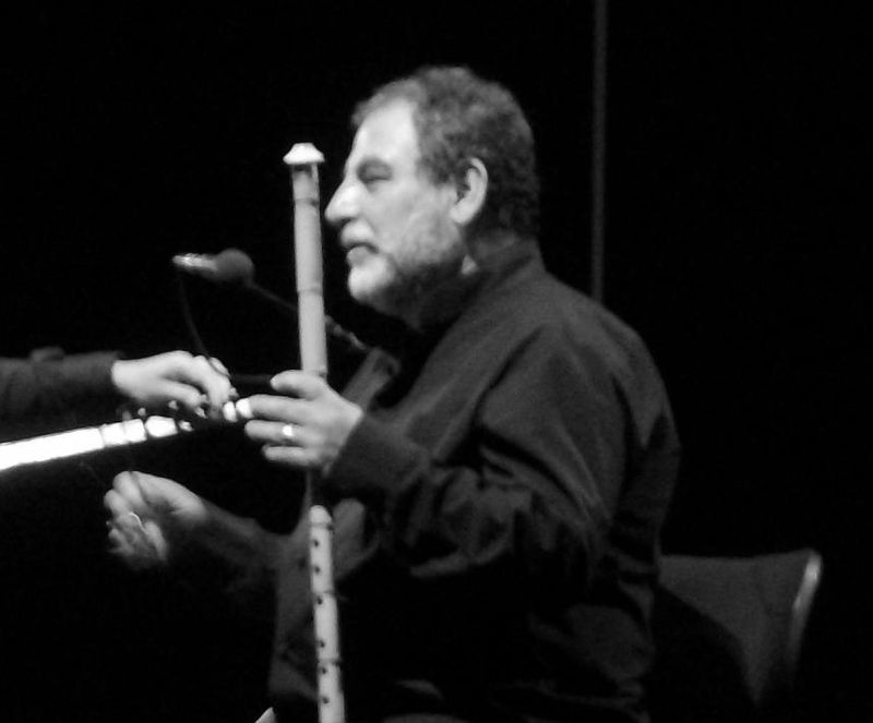 Gazel Salih