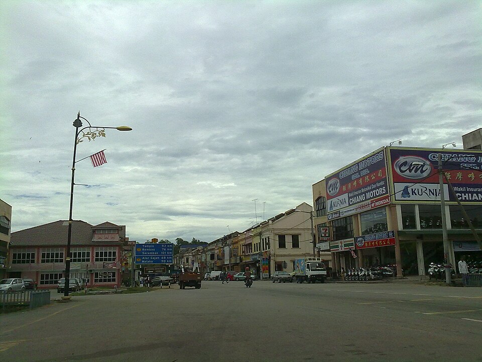 Gema P.