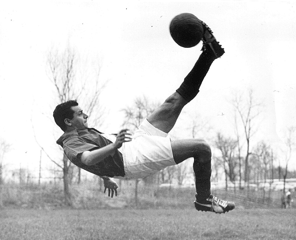 Gérard Pelé