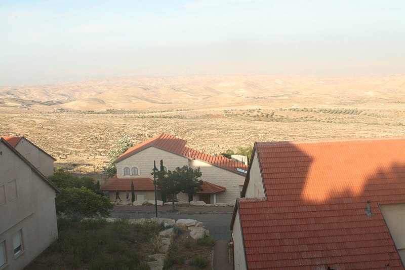 Gidon Ariel
