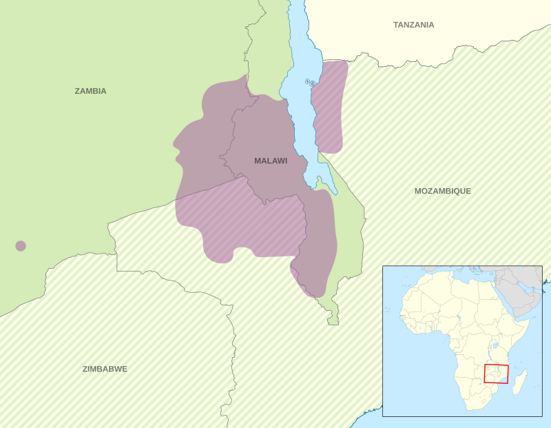 Gift Katundu