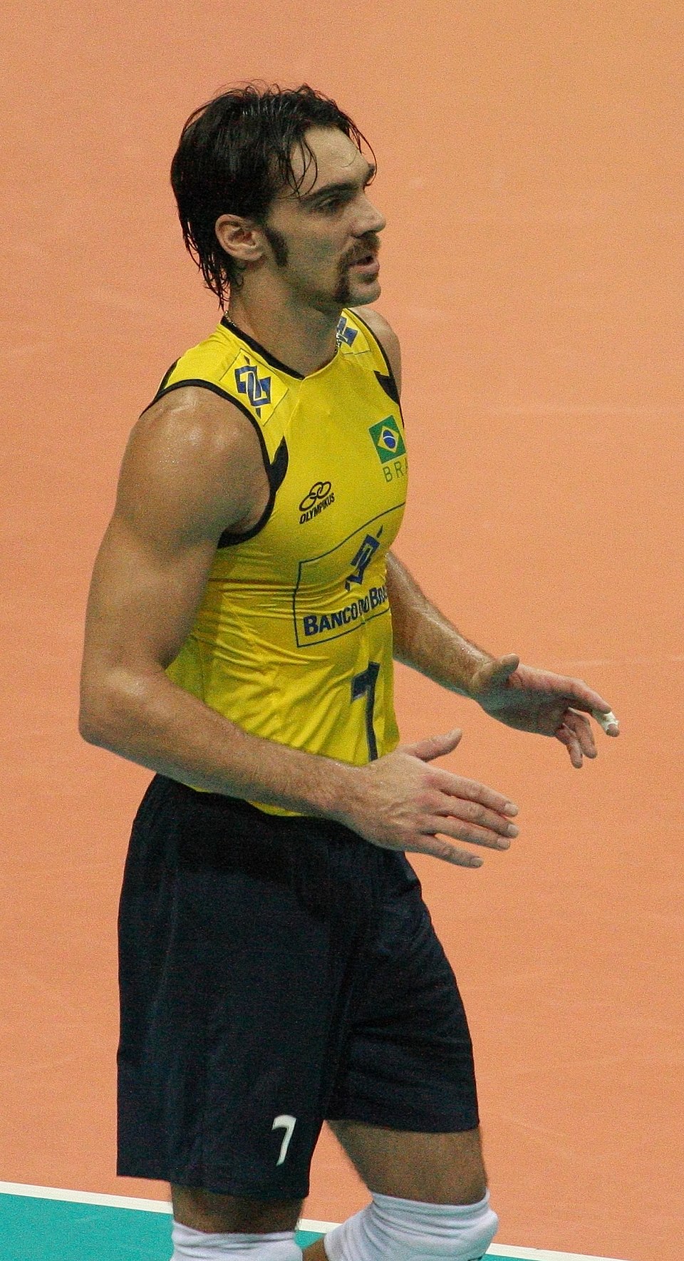 Gilberto Godoy Filho