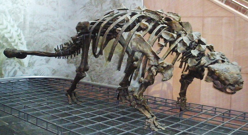Góbi Zsófia
