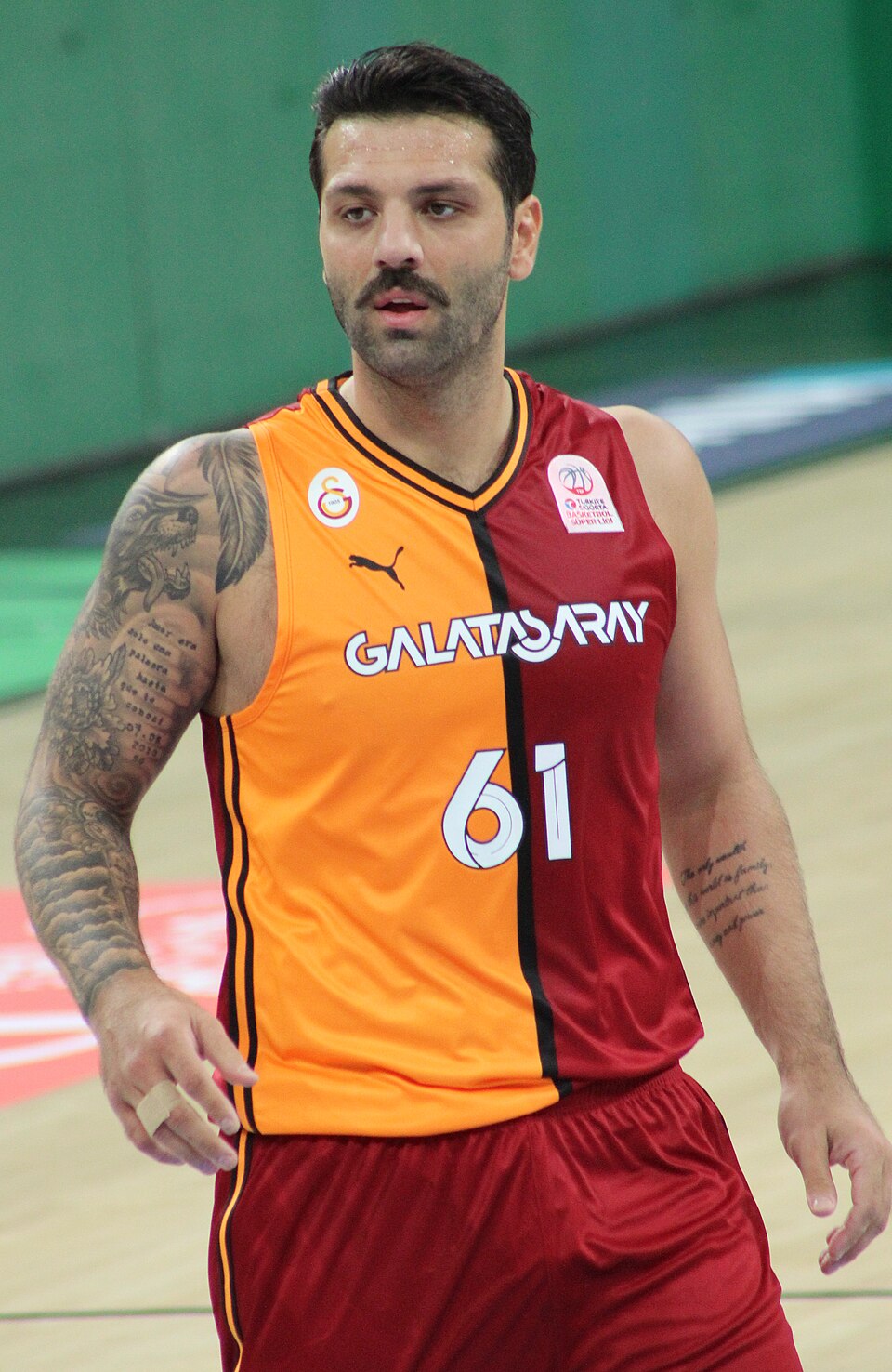 Göksenin