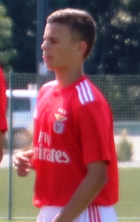 Gustavo de Mendonça