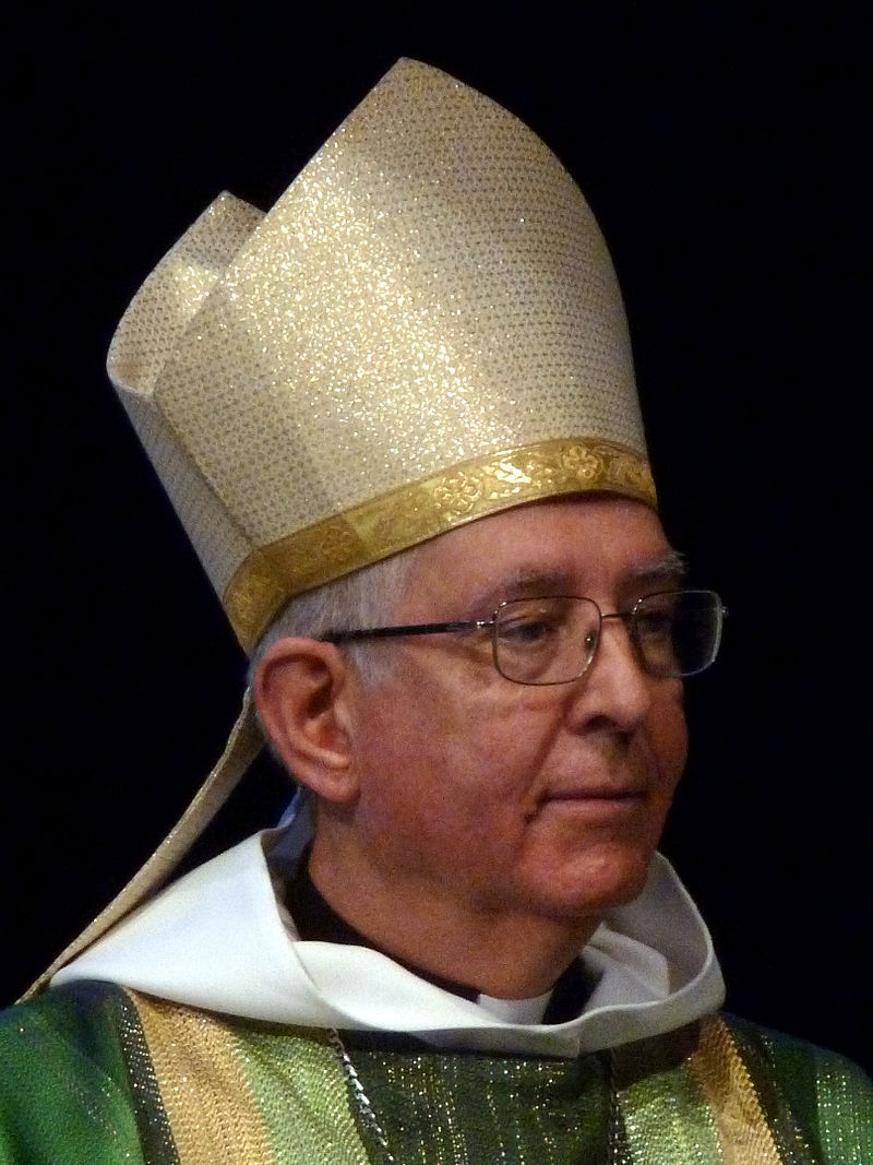 Guy de Kerimel