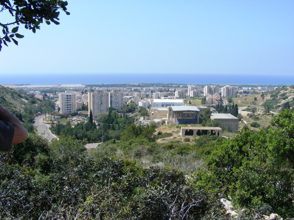 Haim Yohan