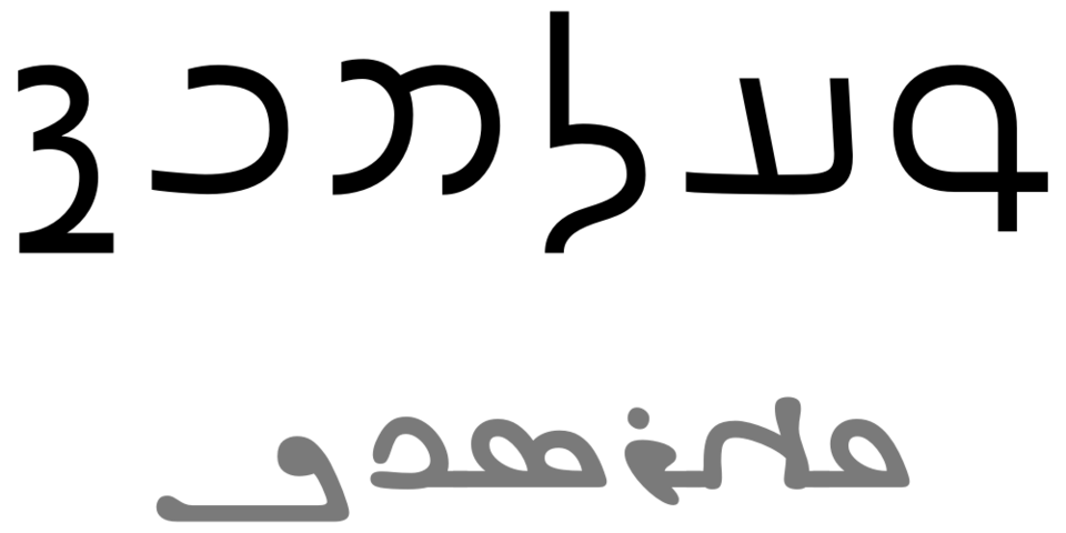 Hamid Sidig