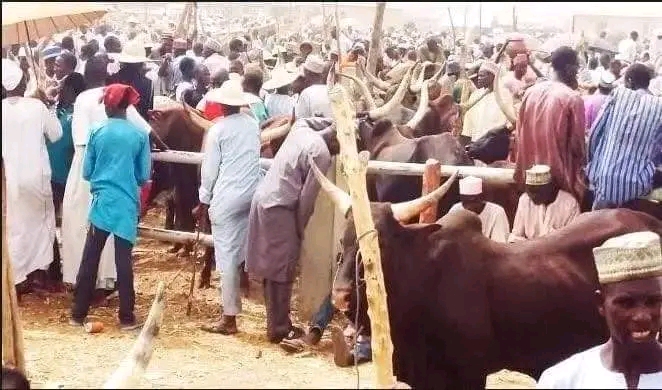 Hamisu Adamu