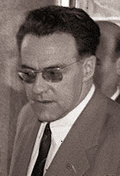 Hasan Brkić
