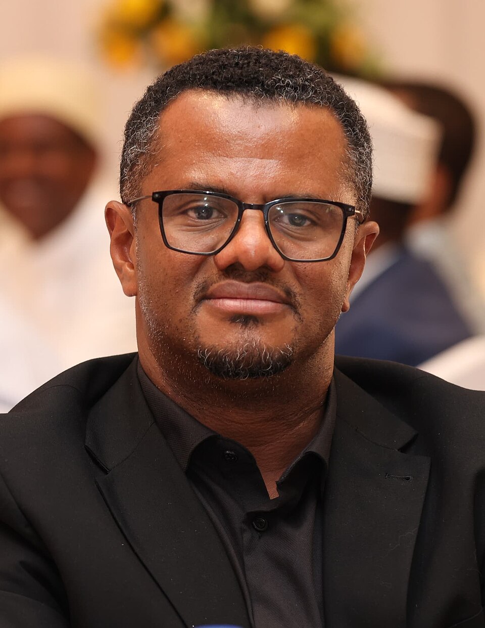 Hassan Omar Hassan