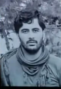 Haydar Soleimani