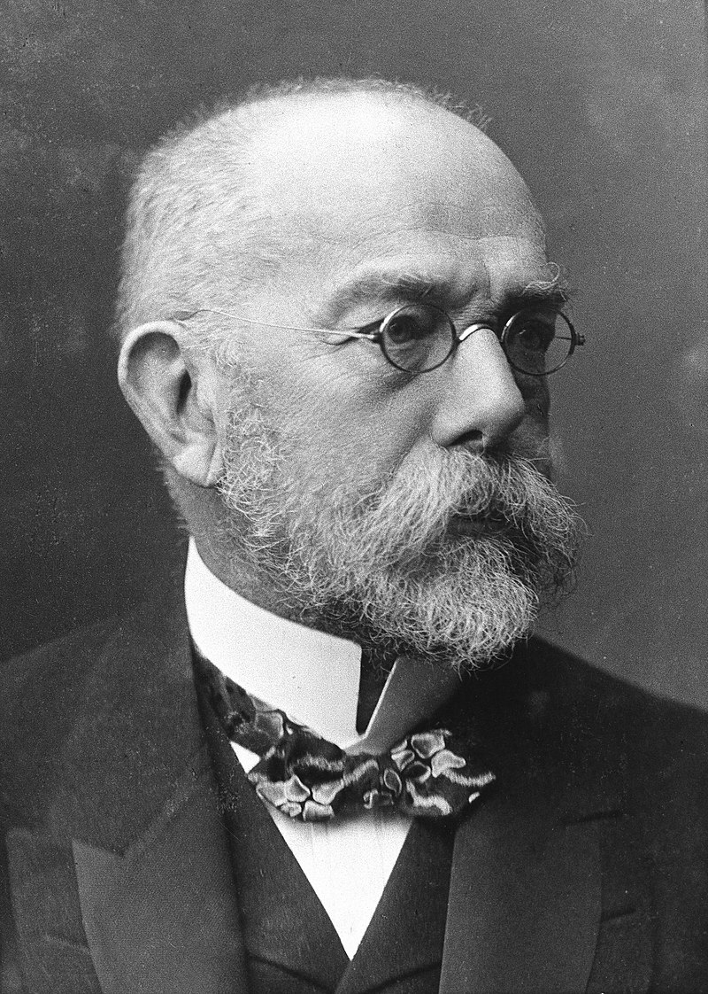 Heinrich Koch