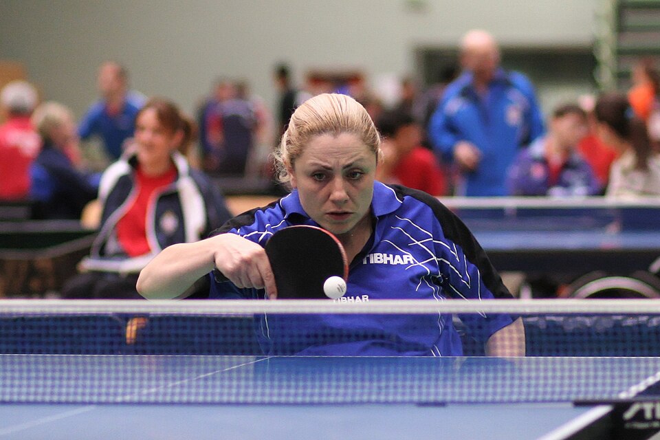 Helena Dretar Karić