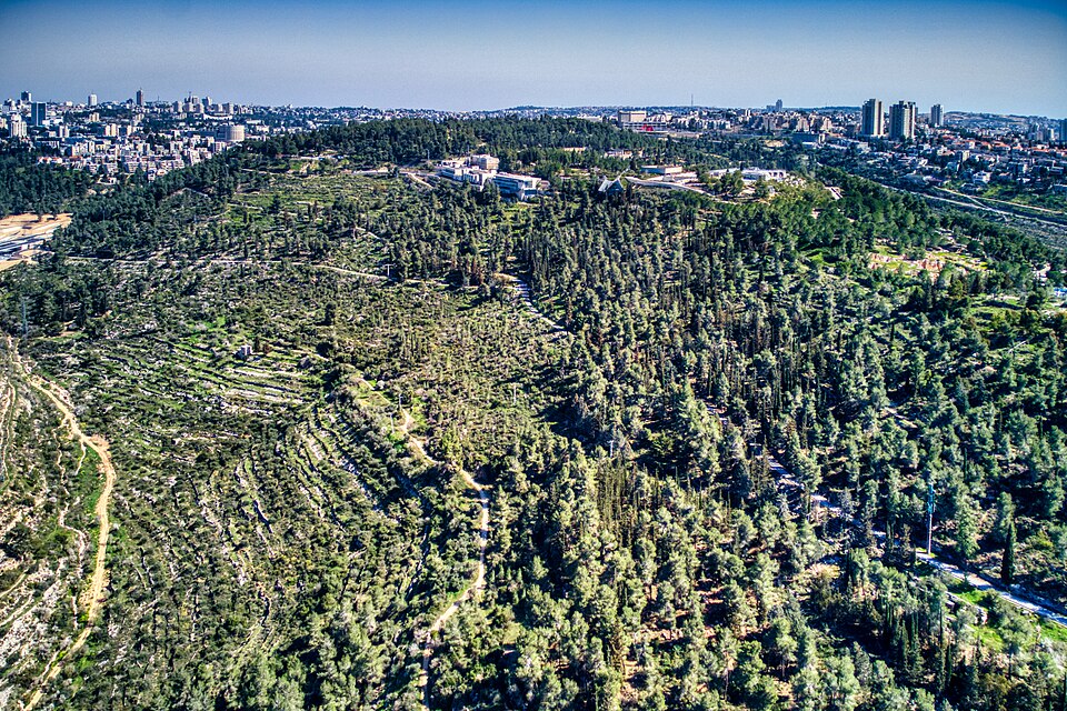 Herzl Yosef
