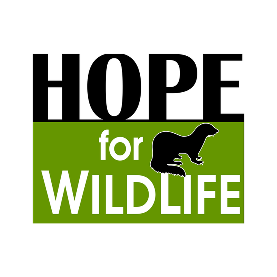 Hope Swinimer