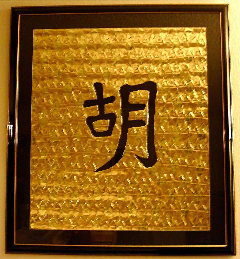Hu Bin
