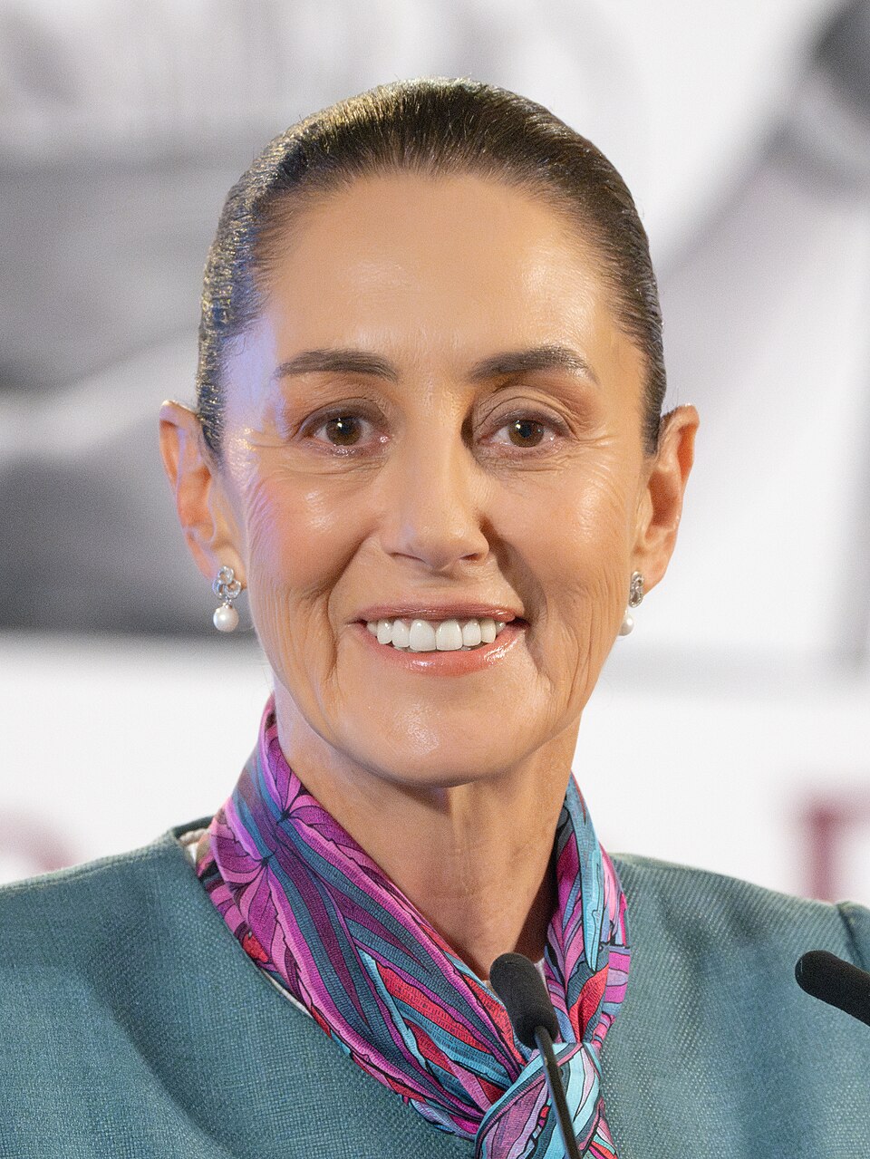 Hugo Andrés Robles Ortiz