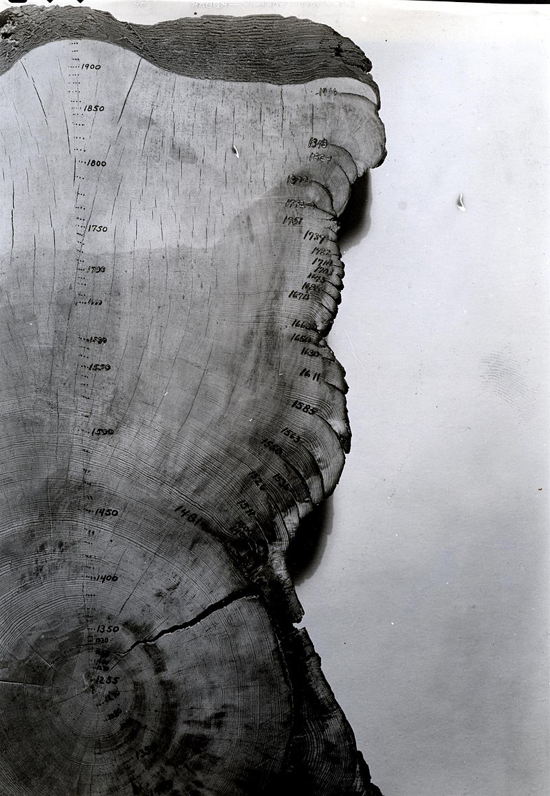 Ian Tyers