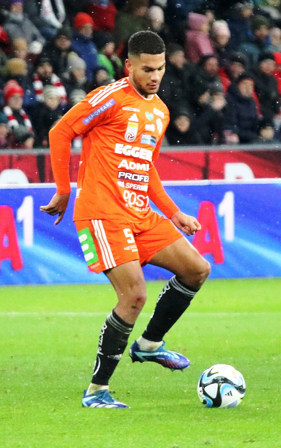 Ibanes