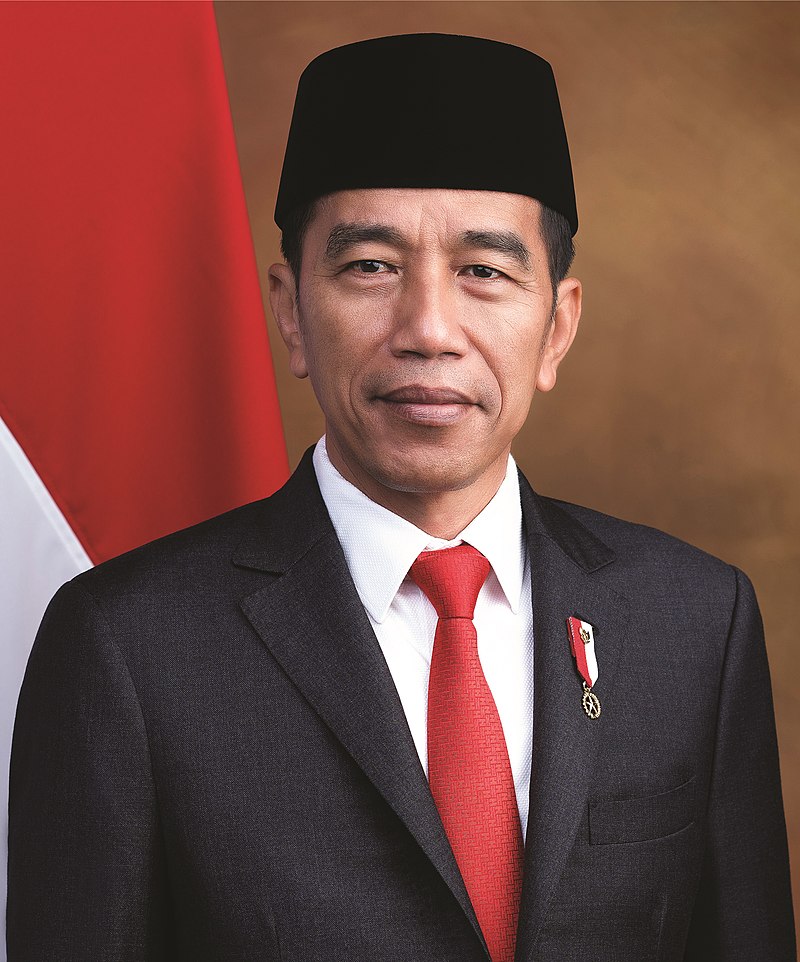 Ibnu Basuki Widodo