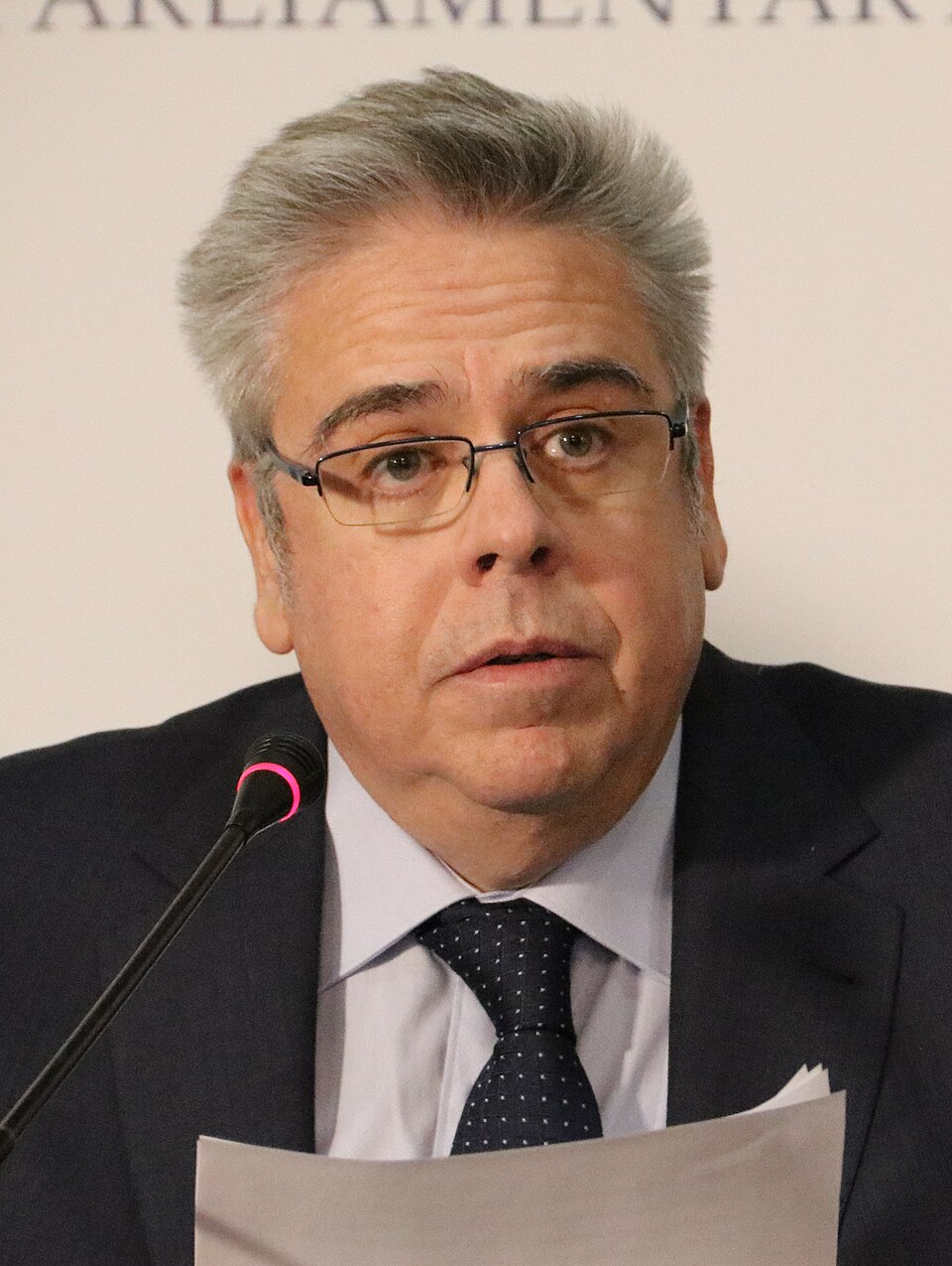 Ignacio Sánchez Amor
