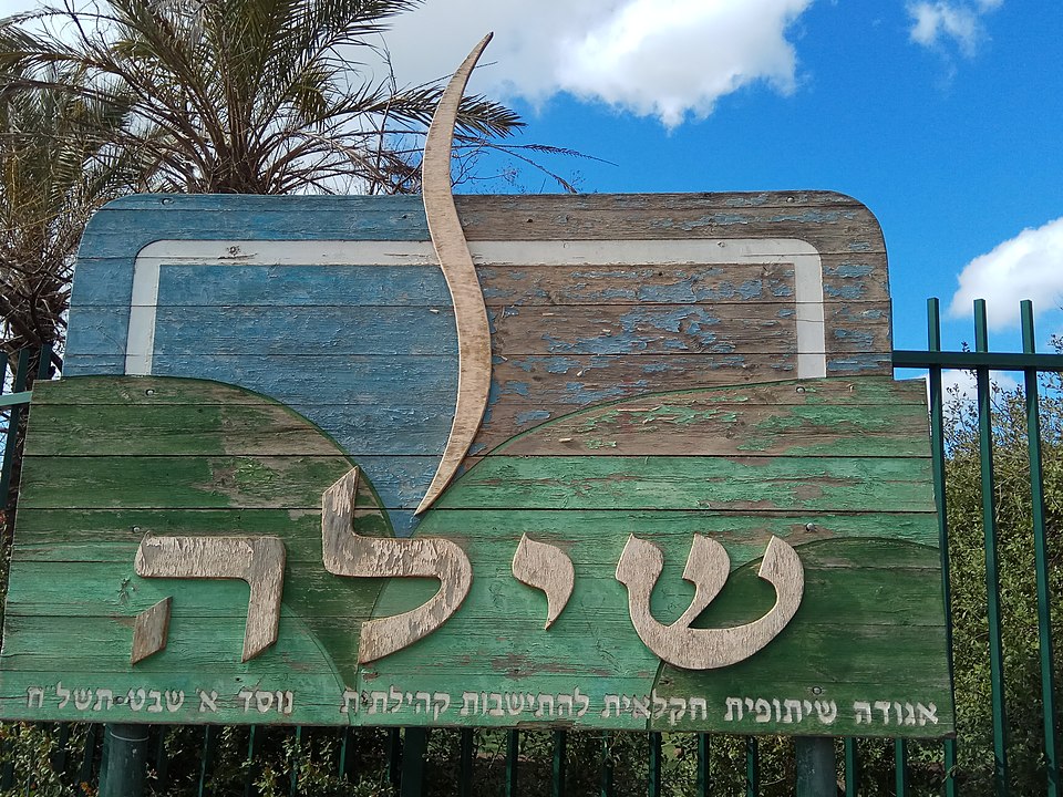 Ilan Shiloh