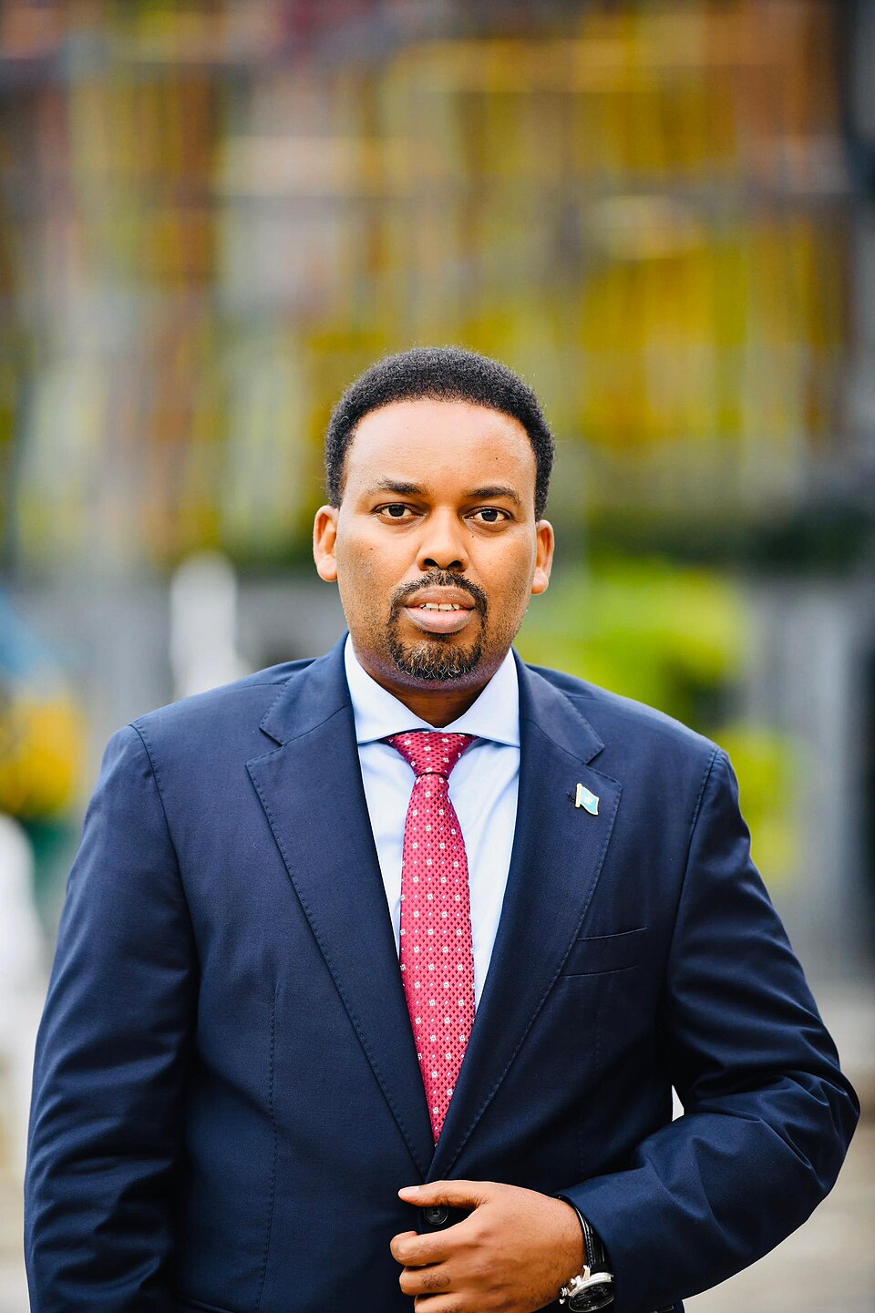 Ilyas Ali Hassan