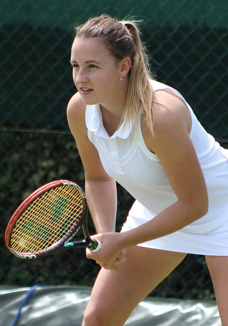 Irena Pavlović