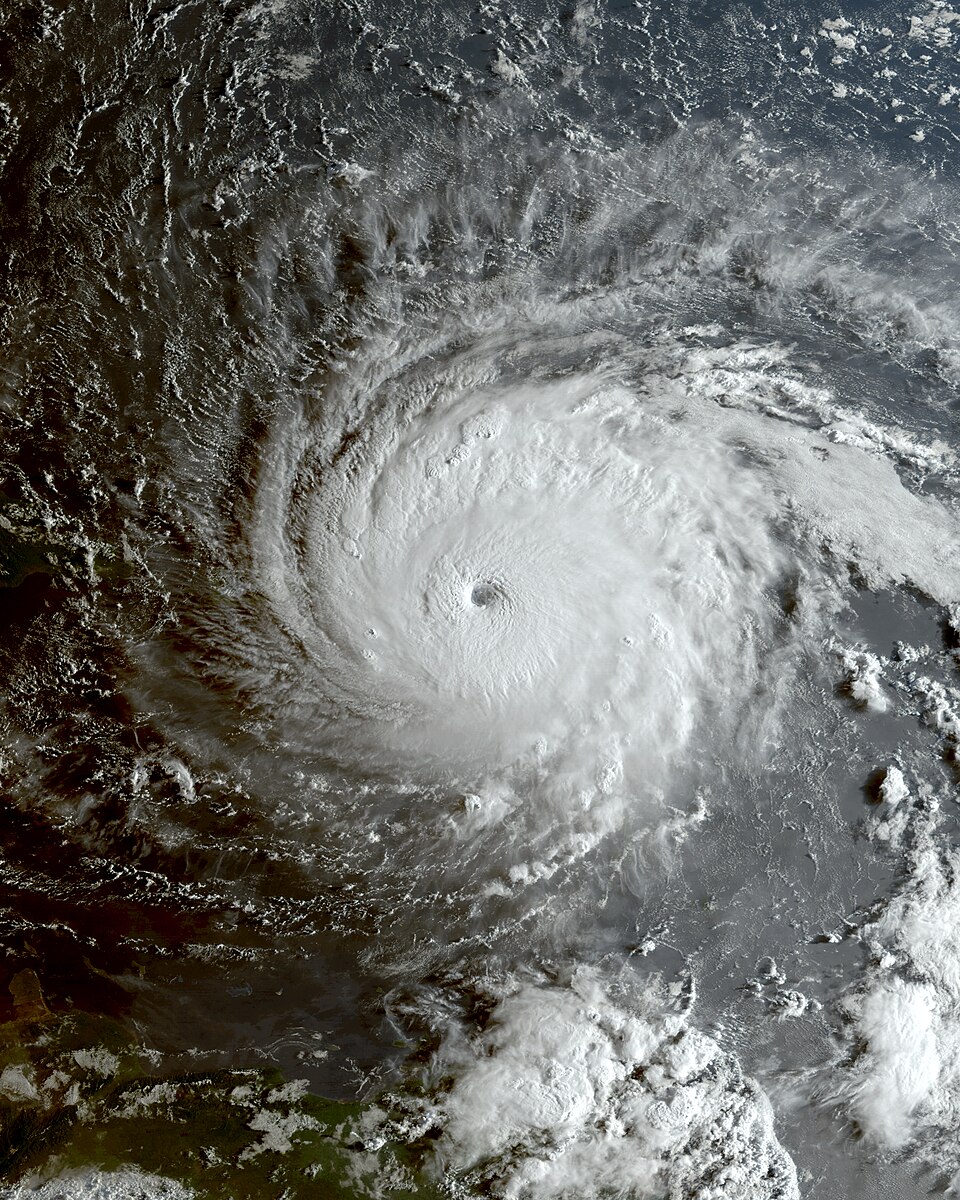 Irma M.