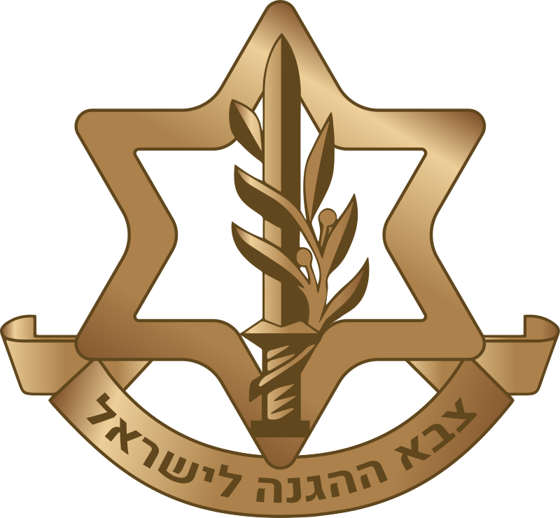 Israel Defense Forces