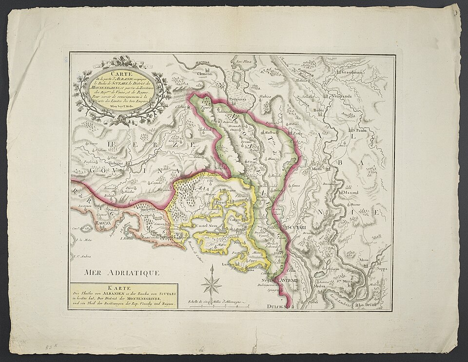 Jadranka Selhanović