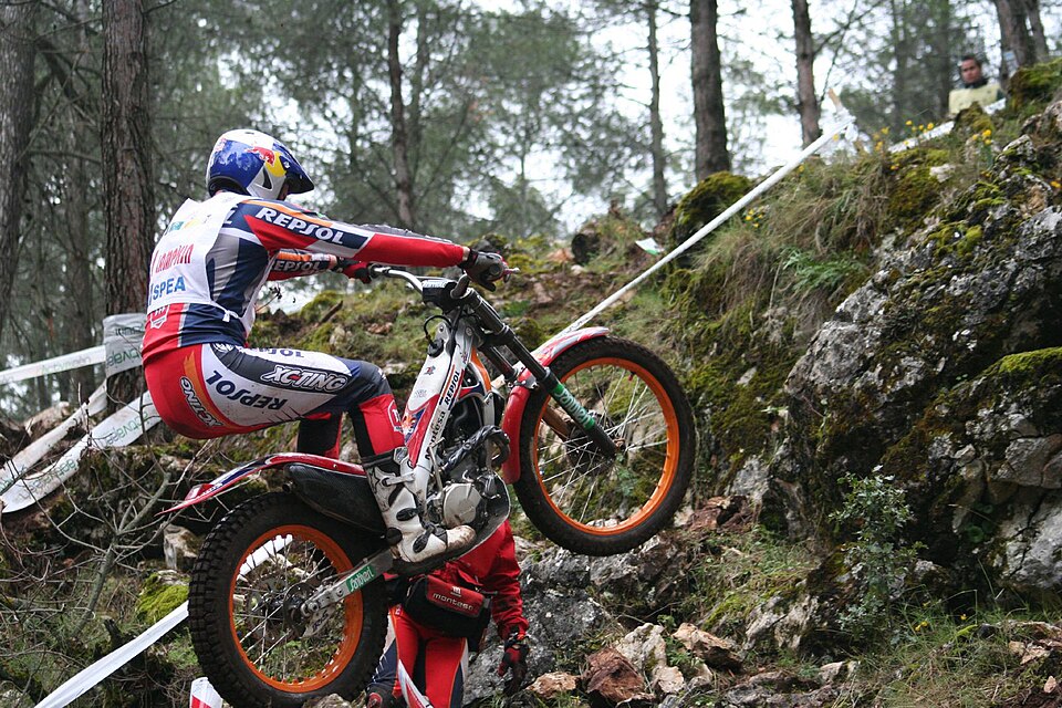 Jaime Busto